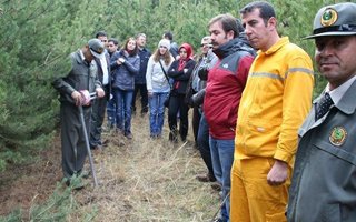 Erzurum Orman'da Silvikültürel tatbikat