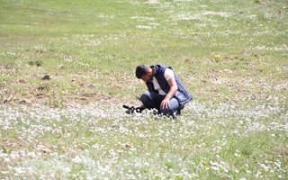 Kışı bir başka yazı bir başka güzel 