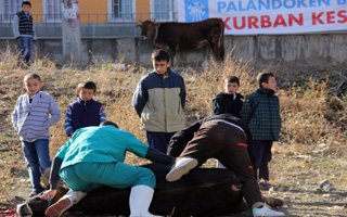 Kurbanlar çocukların gözü önünde kesildi