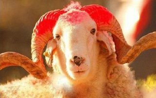 Krediyle kurban kesilir mi?