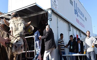 Büyükşehir Kurban Bayramı’na hazır