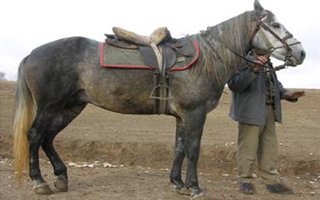 Her yerde 'Hınıs'ın kolu kısası' aranıyor