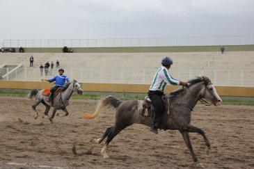 Cirit heyecanı devam ediyor