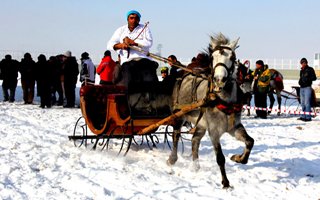 Buz gibi havada atlı kızak yarışması