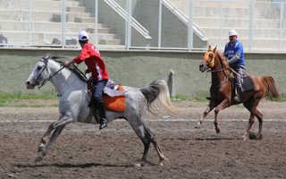 Erzurum'daki Cirit maçları nefes kesiyor