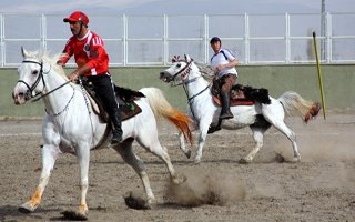 Erzurum'da cirit turnuvası başladı