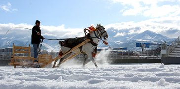 Erzurum’da atlı kızak yarışı 