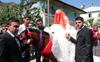 Oltu'da At'lı gelin arabası geleneği!