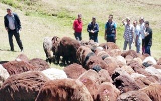 Oltu'da ORKÖY faaliyetleri sürüyor