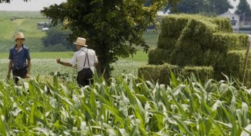 Tarım ÜFE Eylül'de yüzde 2,29 arttı