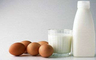 Süt Ve Yumurta Üretimi Arttı