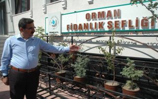 Erzurum'da çalıştıracak işçi bulunamıyor