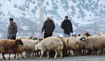 Akşarlılar kapalı hayvan pazarı istiyor