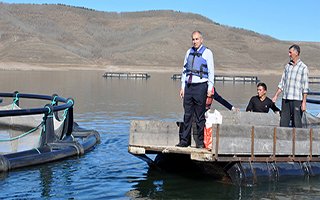 Erzurum’dan milli ekonomiye balık dopingi!