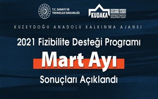 Fizibilite desteği programı Mart ayı sonuçları