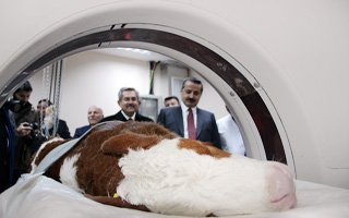 Bakan Çelik Erzurum'da hayvan hastanesini açtı
