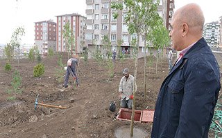 "Erzurum'a Bozkır Değil Yeşil Görüntüsü Yakışır"