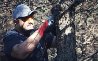Çevreci Başkan Muhammet Cevdet Orhan ağaç budadı