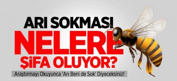 Arı sokması nelere şifa oluyor?