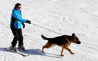 Kayakçı Palandöken'de köpeğiyle kaydı