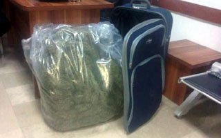 Yolcunun valizinden 13 kilo esrar çıktı