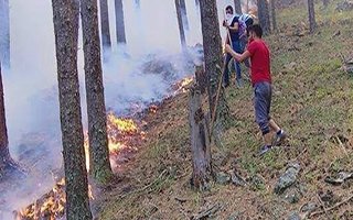 Oltu’da orman yangınlarında sabotaj şüphesi