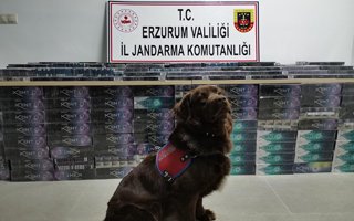 Erzurum Polisinden kaçak sigara operasyonu