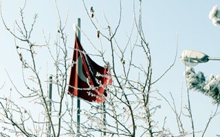 Erzurum'da Türk bayrağı bile dondu