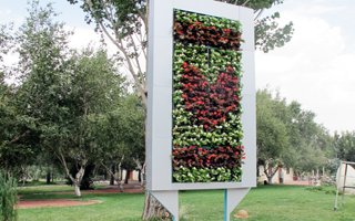 Erzurum'da ilk kez dikey bahçe oluşturuldu