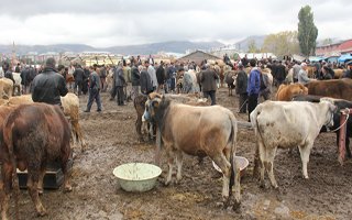 Çizmelerinizi giymeden kurban almaya gitmeyin!