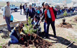 Palandöken'de minik öğrenciler fidan dikti