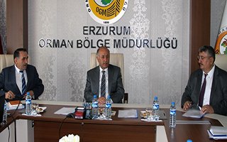 Erzurum'a 20 milyon ağaç dikilecek