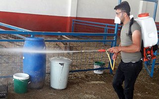 Aziziye’de ilaçlama seferberliği 