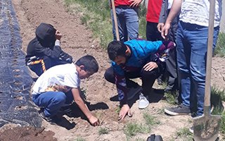 Koruma altındaki çocuklardan çilek tarlası projesi 