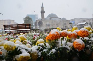 Erzurum beyaza büründü