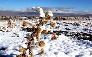 Erzurum'da bayramda hava nasıl olacak?