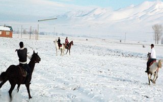 Kar üzerinde nefes kesen cirit