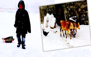 Erzurum'da kış şartları yaşamı zorlaştırıyor