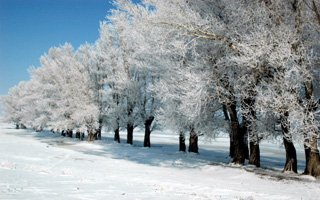 Erzurum'da kartpostallık kırağı görüntüsü