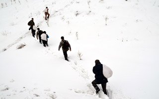 Erzurum'da kurda-kuşa yem seferberliği!