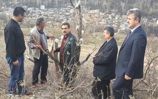 Erzurum'da yabanıl meyveler ağaçlandırılıyor