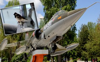 Üniversitenin jet'i kuşların yuvası oldu