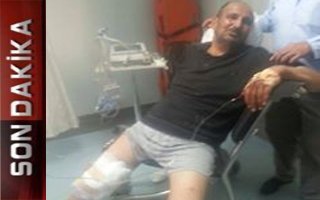 Erzurum'da Ayı Dehşeti