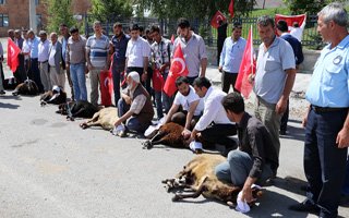 Köprüköy Belediyesi Şükür Kurbanı Kestirdi