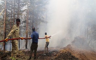 Oltu'nun ormanları 3 gündür yanıyor