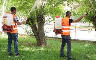 Aziziye’de haşerelere geçit yok 