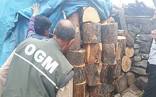 Orman koruma ekipleri kaçakçılara göz açtırmıyor