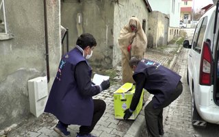 Aziziye’de dar gelirli ailelere gıda desteği