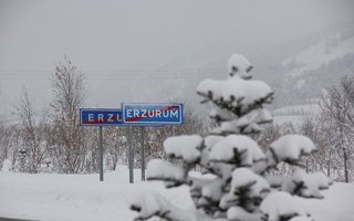 Erzurum genç iller arasında