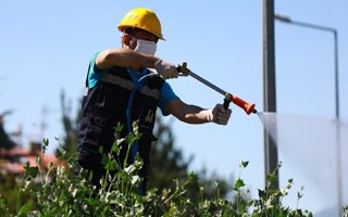 Büyükşehir’den ilaçlama çalışması